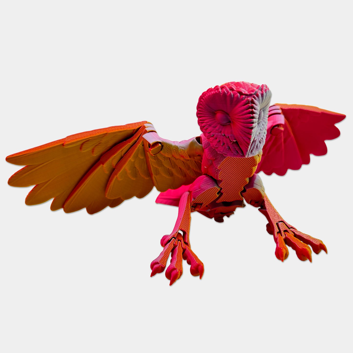 Barn Owl