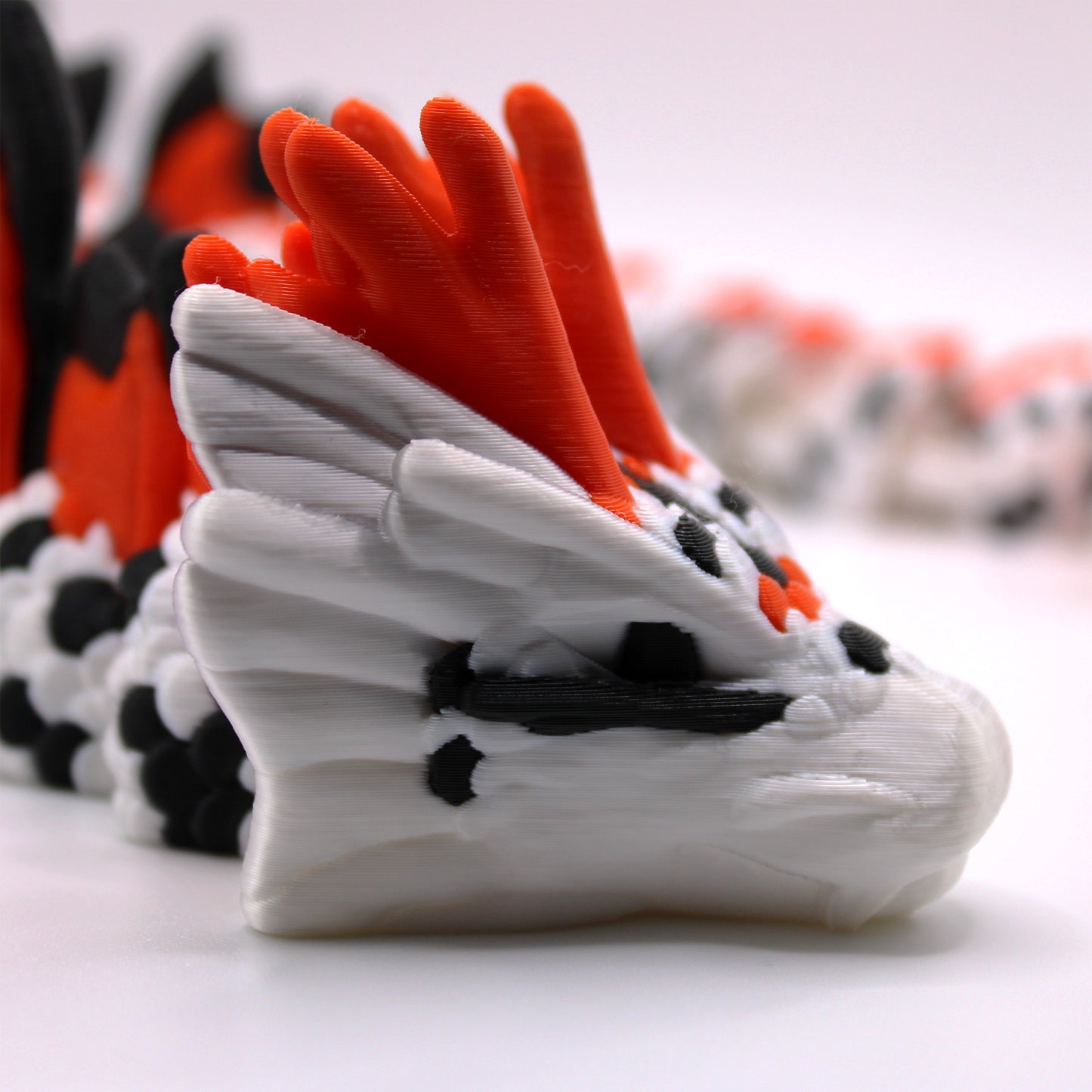 Koi Dragon