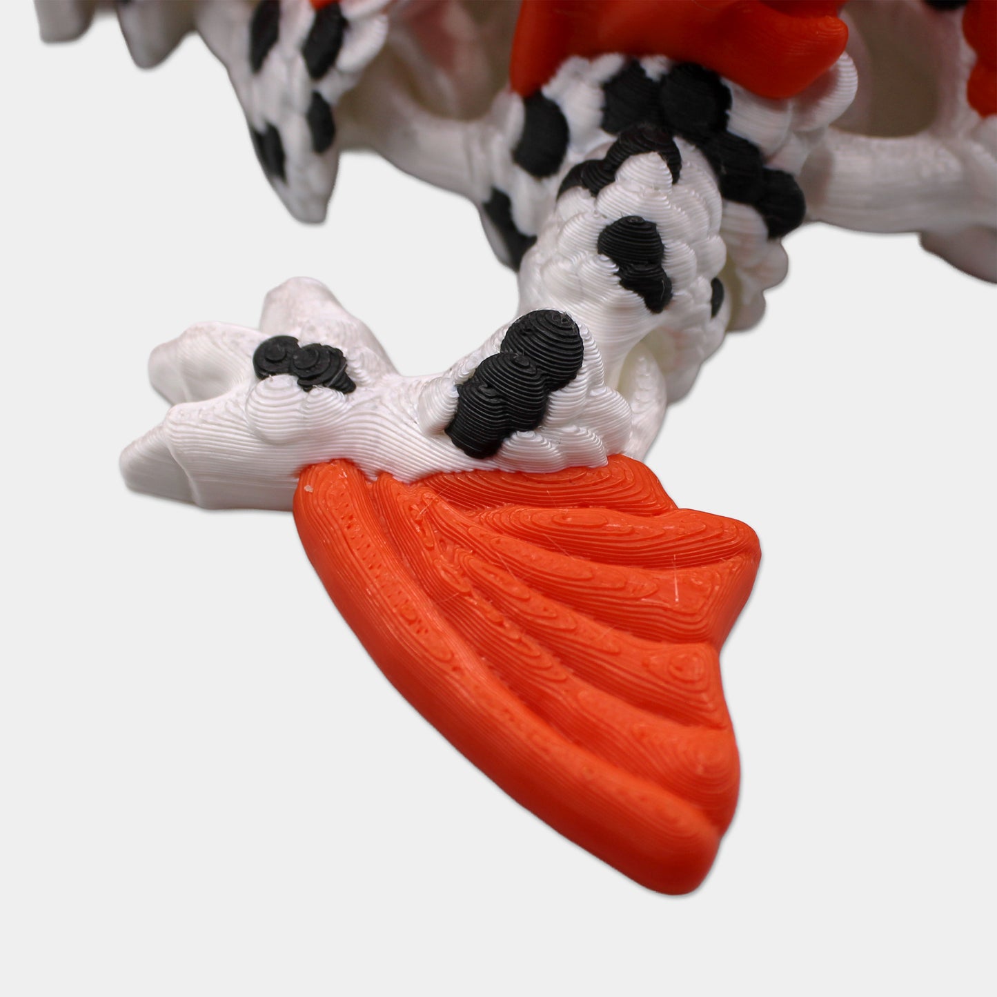 Koi Dragon