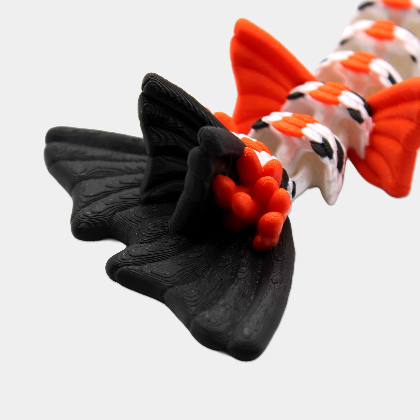 Koi Dragon