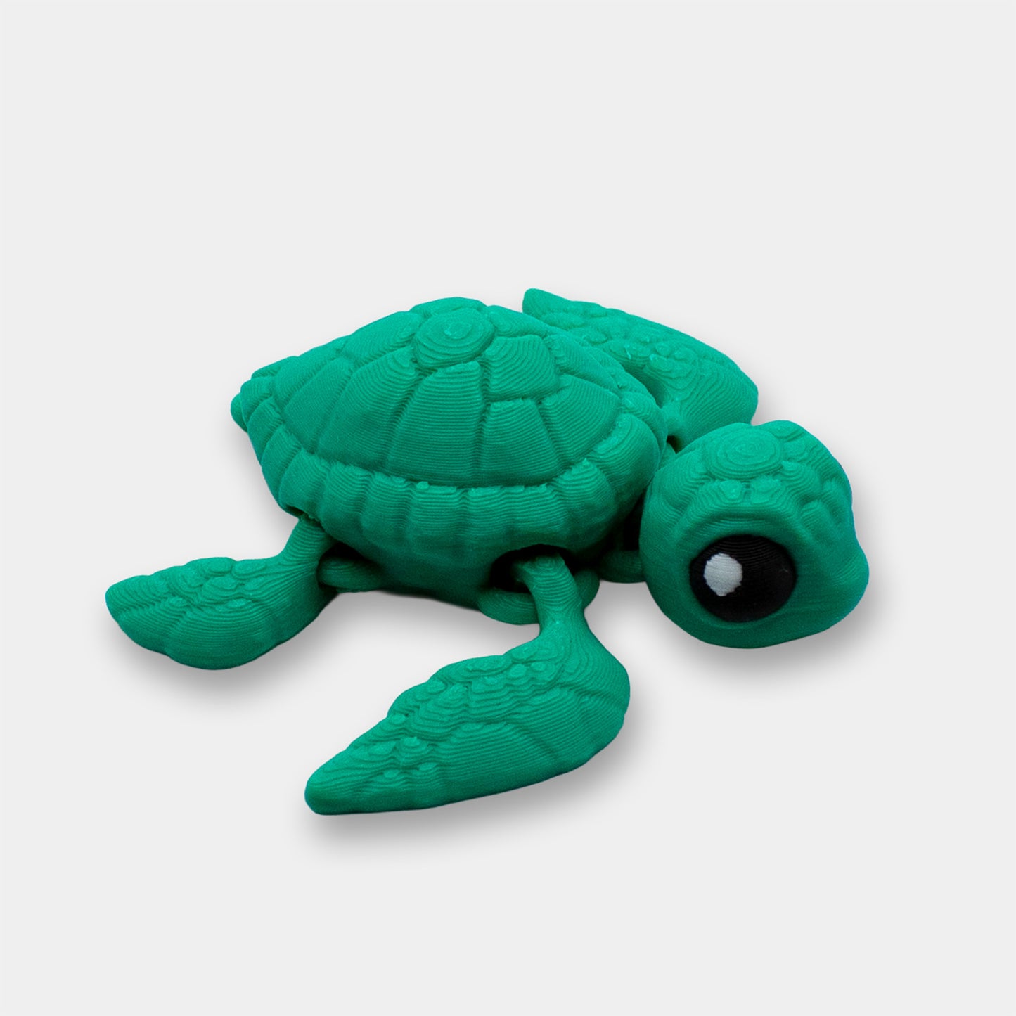 Tiny Sea Turtle