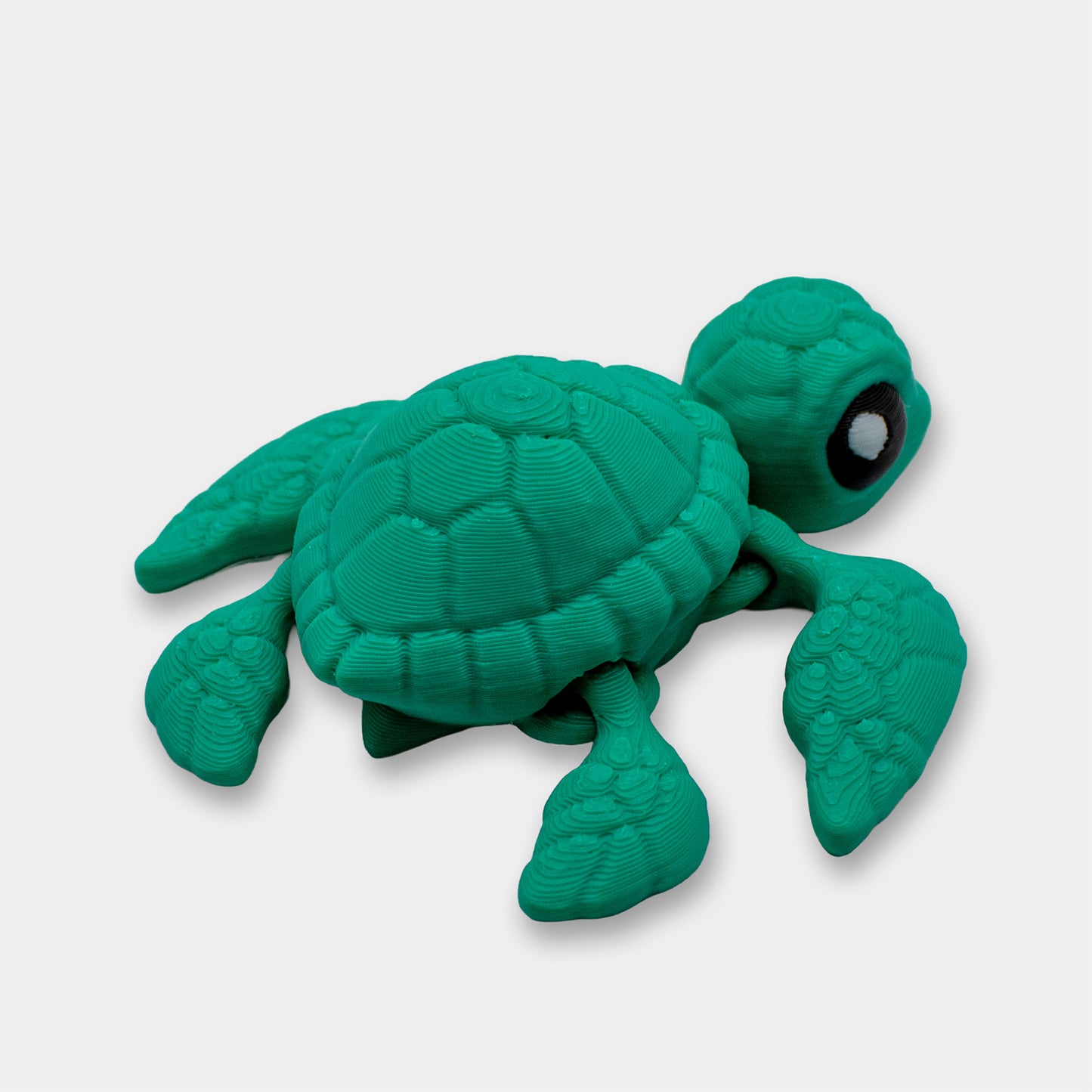 Tiny Sea Turtle