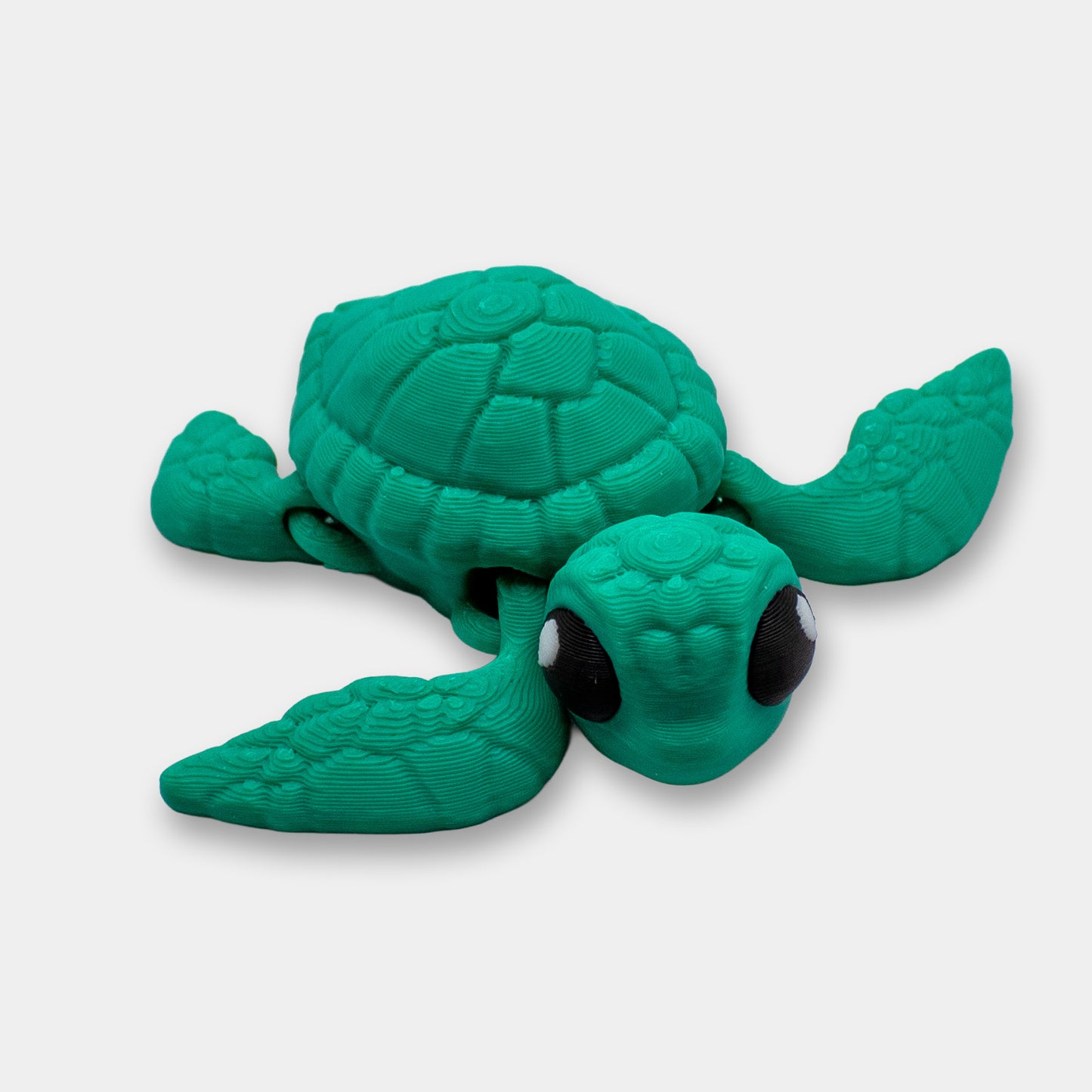 Tiny Sea Turtle