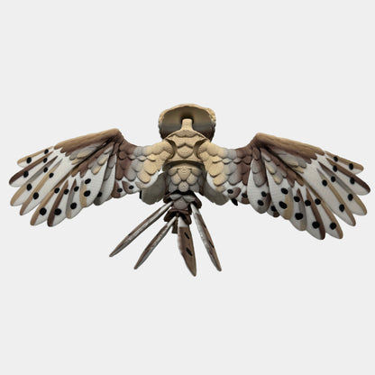Barn Owl