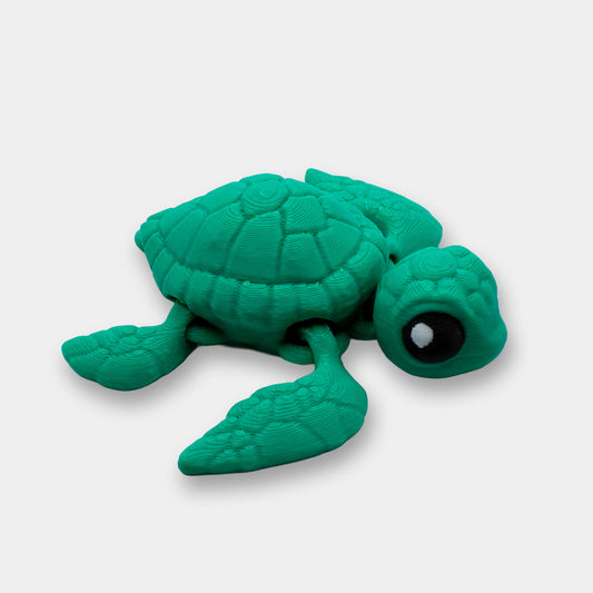Tiny Sea Turtle