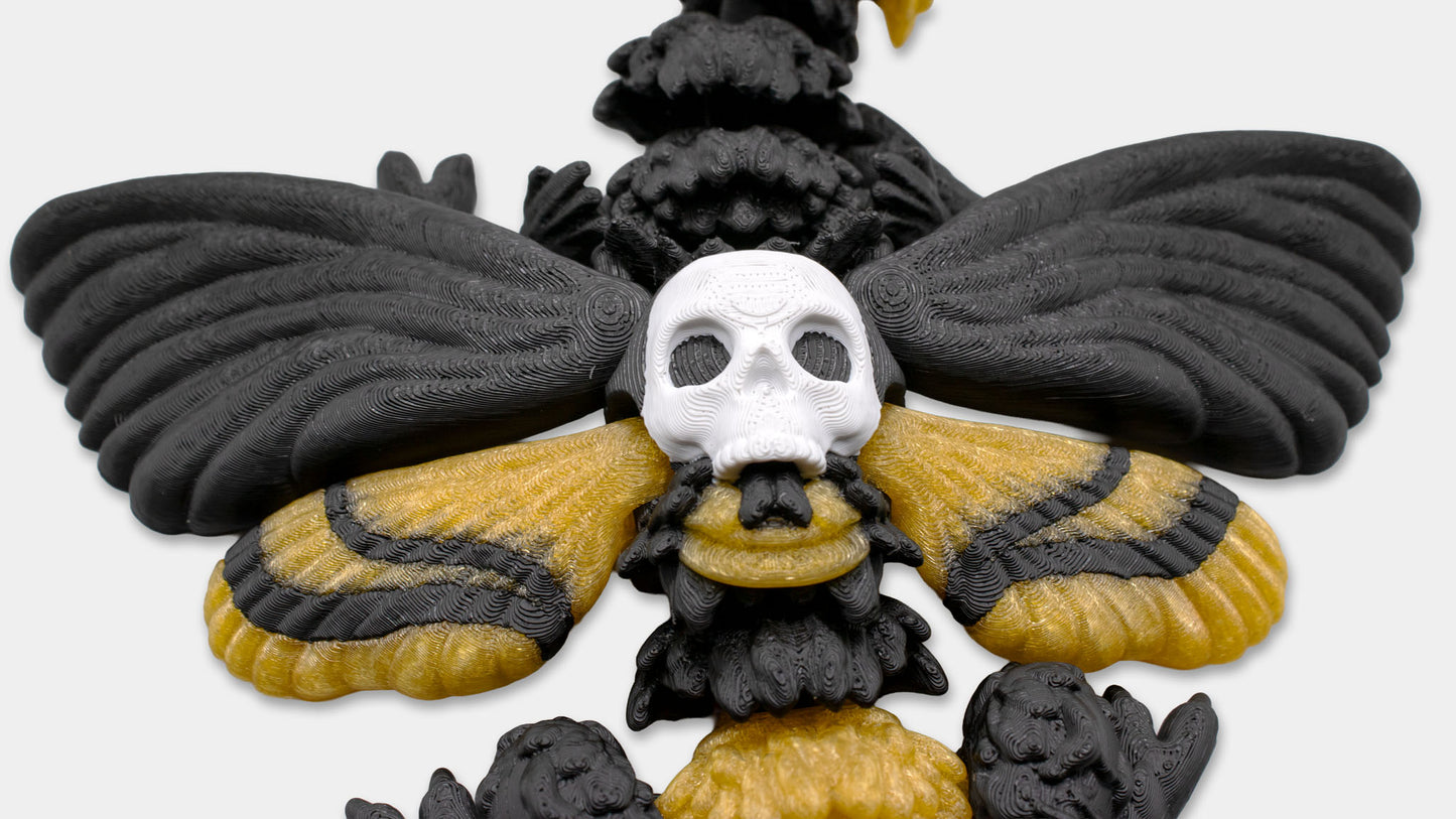 Top view of the Death’s Head Moth Dragon showing skull face and wing pattern